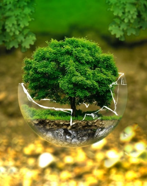 Kering Développement durable